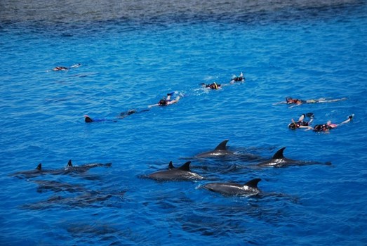 Da Vinci Homes Hurghada Compound